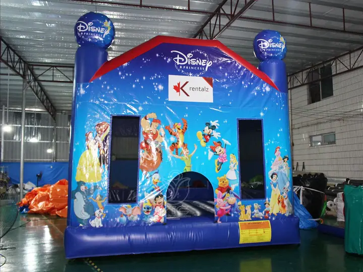 princess bouncy castle