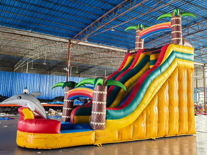 Dolphin water slide