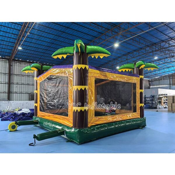 Bounce House Inflatable