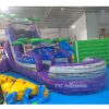 Inflatable Water Slides
