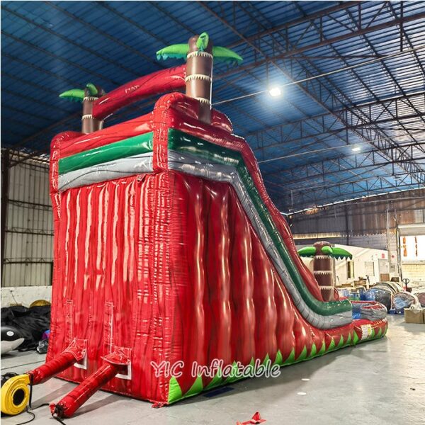 Inflatable Water Slides