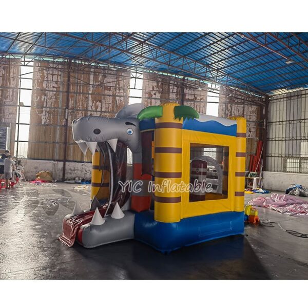 Inflatable Jumping Castle