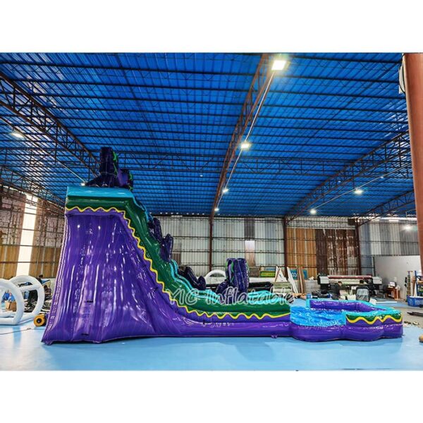 Inflatable Water Slide