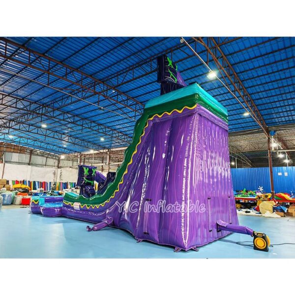 Inflatable Water Slide