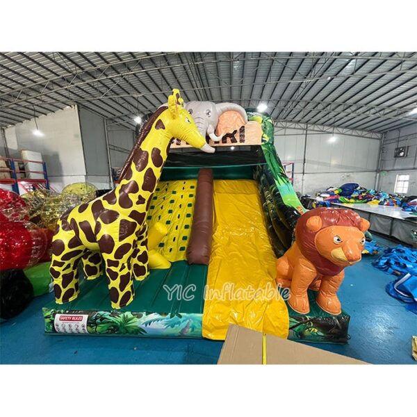 Inflatable Slide