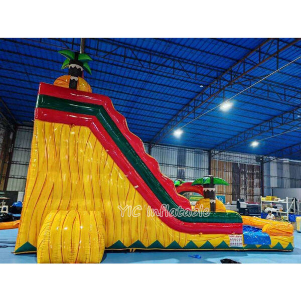 Inflatable Water Slide