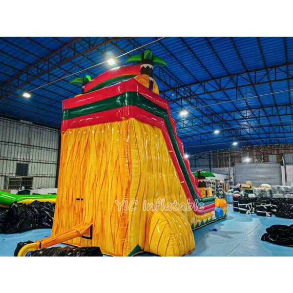 Inflatable Water Slide