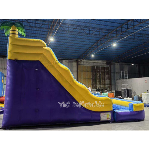 Inflatable Water Slide Inflatable
