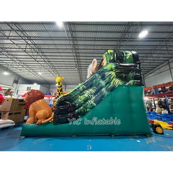 Inflatable Slide