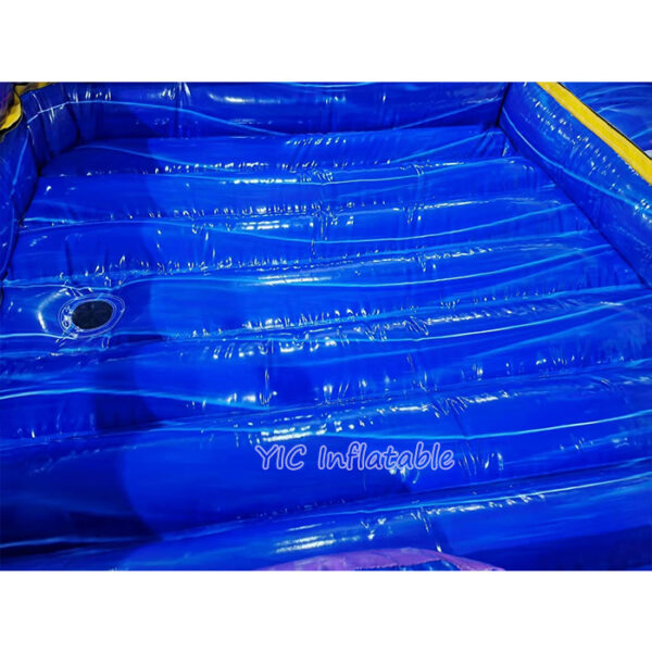 Inflatable Water Slides