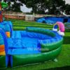 Inflatable Water Slides