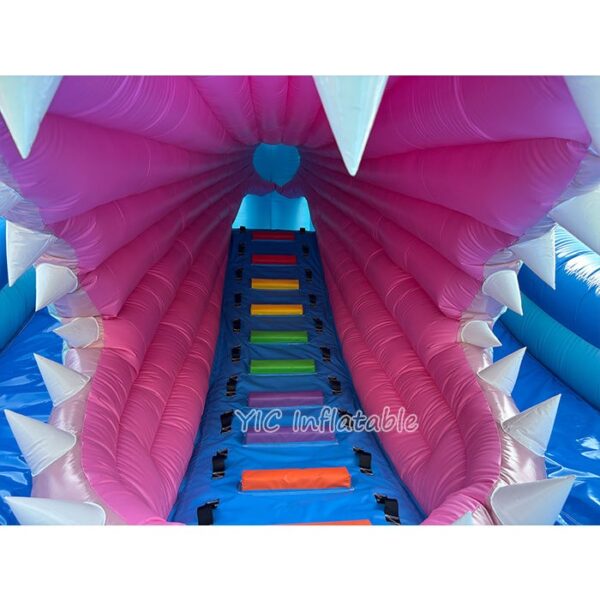 Inflatable Slide